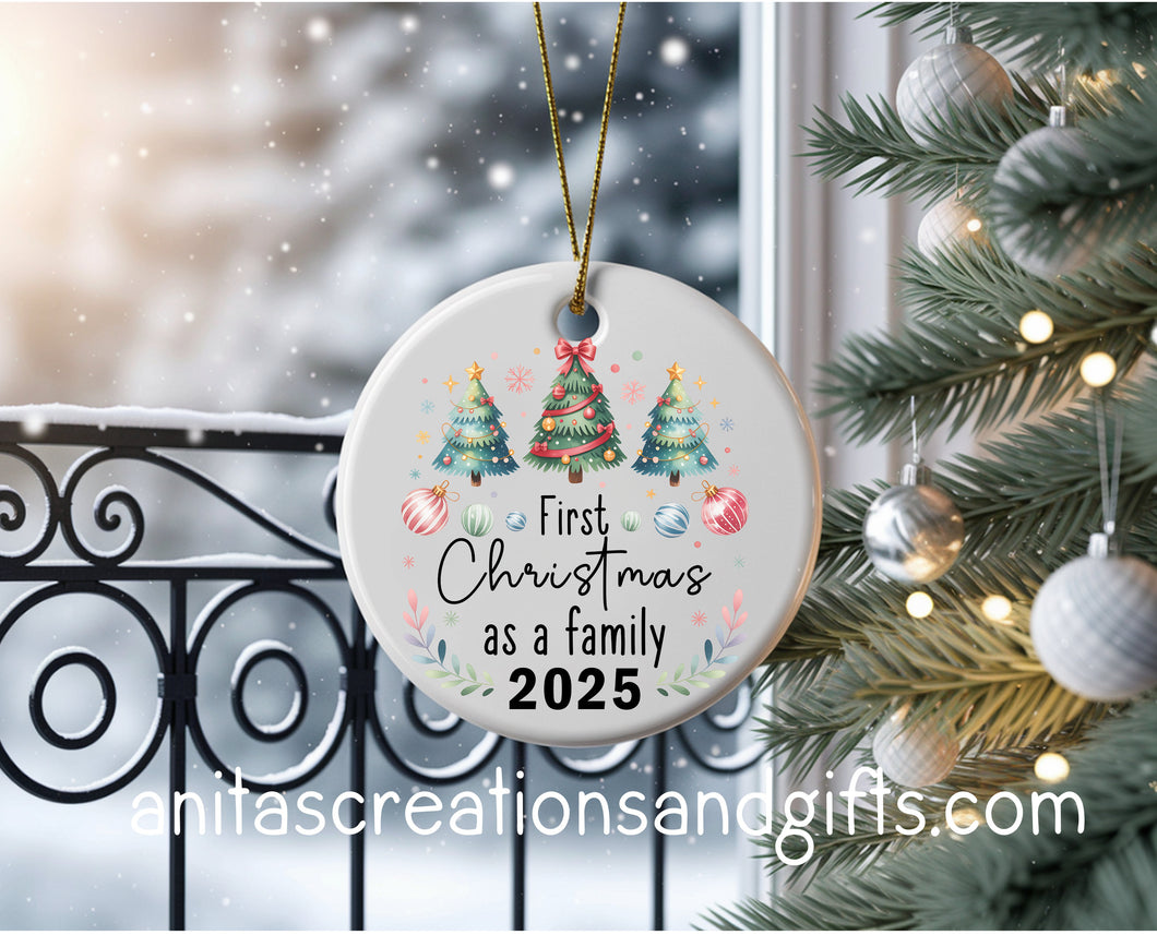 Our First Christmas as a Family