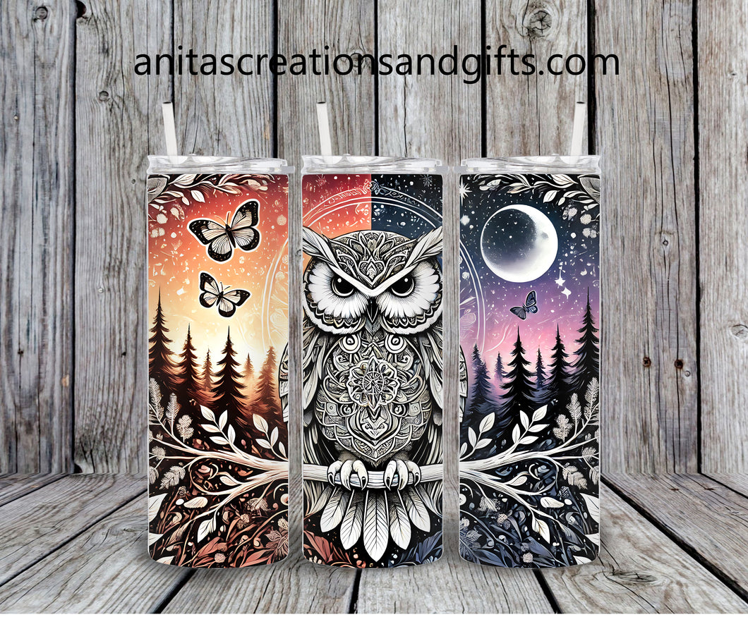 Colorful Owl